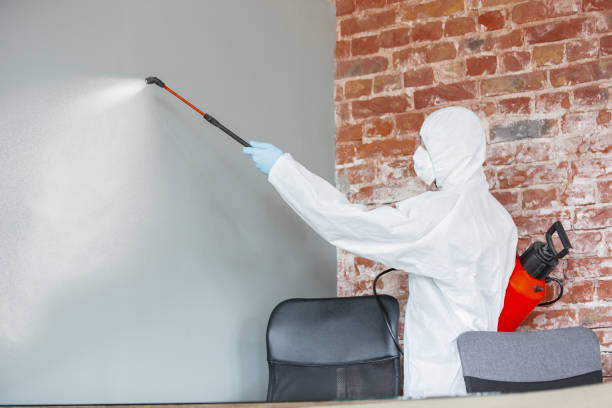 Best Real Estate Mold Inspection  in Boiling Springs, SC