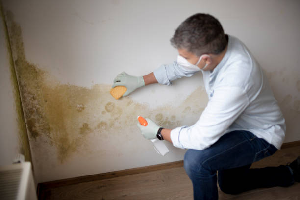 Best HVAC Mold Inspection and Cleaning  in Boiling Springs, SC