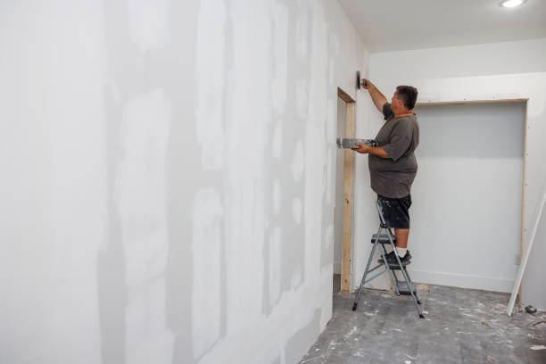 Best Biohazard Mold Removal  in Boiling Springs, SC