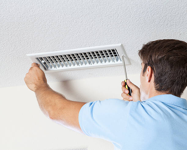 Professional Mold Removal in Boiling Springs, SC