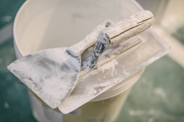 Best Mold Remediation for Rental Properties  in Boiling Springs, SC